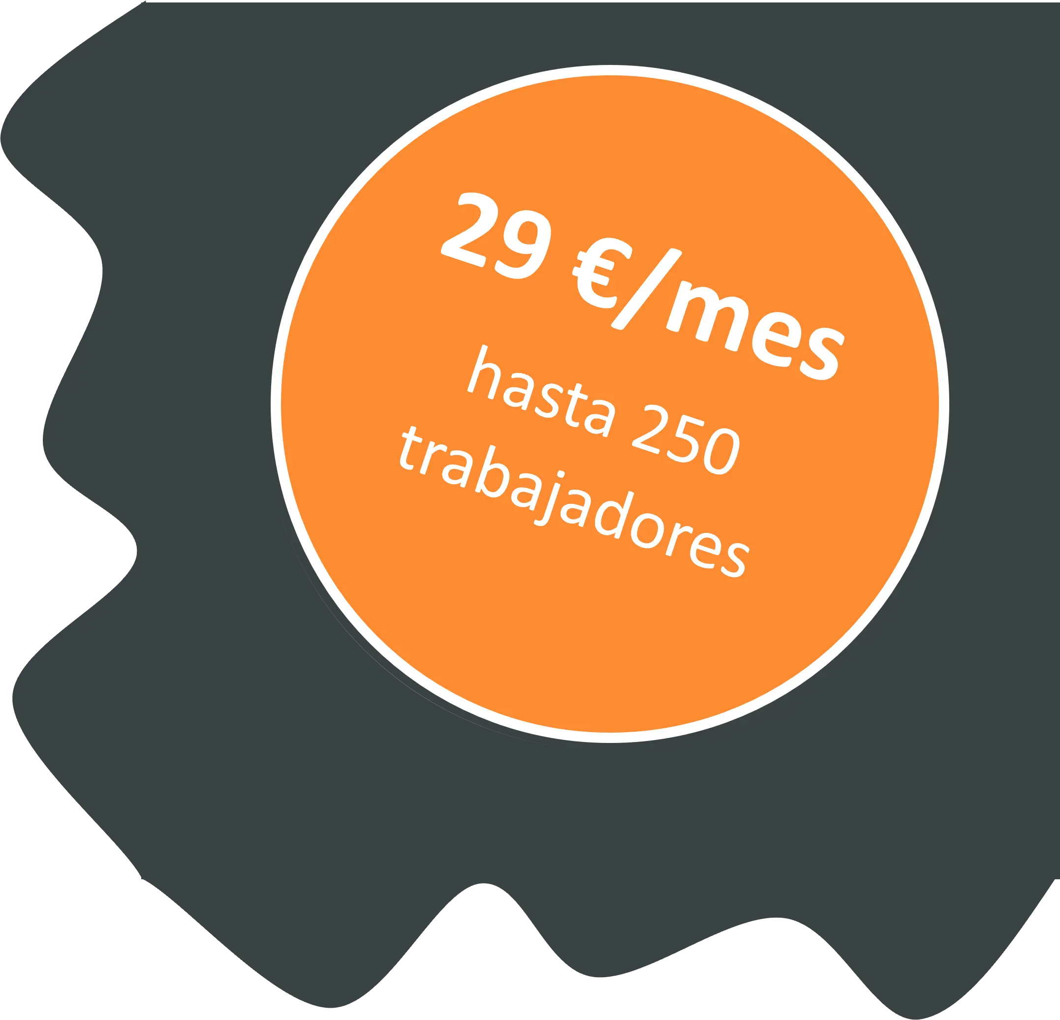 29 € / mes hasta 250 trabajadores 29 € / mes hasta 250 trabajadores